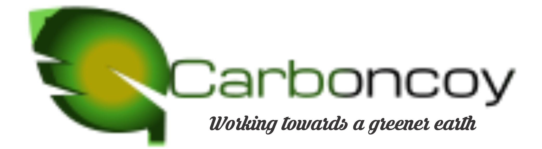 Carboncoy Global Synergy Limited